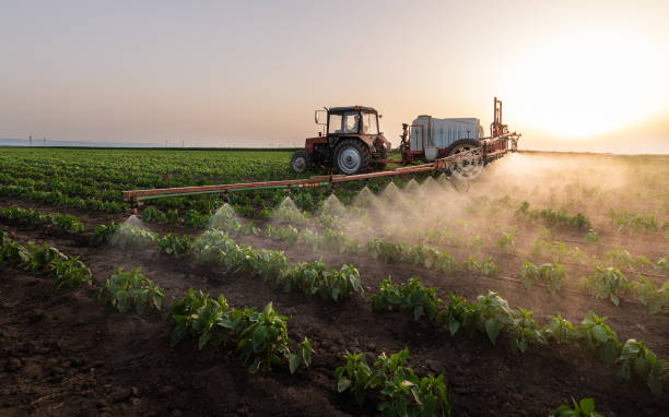 Best Mosquito Control Services  in Bethel, NC