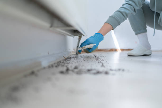 Best Pest Removal Services  in Bethel, NC