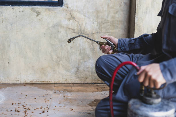 Best Pest Prevention Services  in Bethel, NC